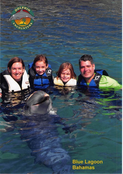 dolphin encounter