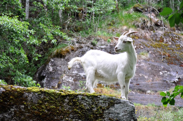 Geiranger