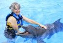 Anne’s Swim With The Dolphins Experience (October 2015)